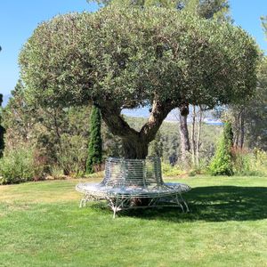 Filler: The Circular Tree Seat