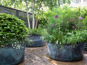 Filler: The Courtyard Copper Garden Planters - Large