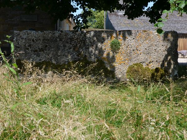  A large 18th century stone trough