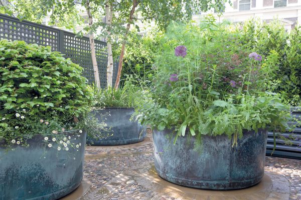 The Courtyard Copper Garden Planter - Medium