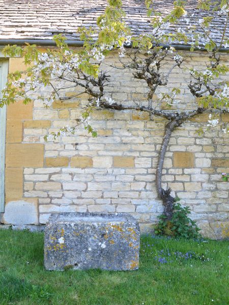 An 18th century stone trough