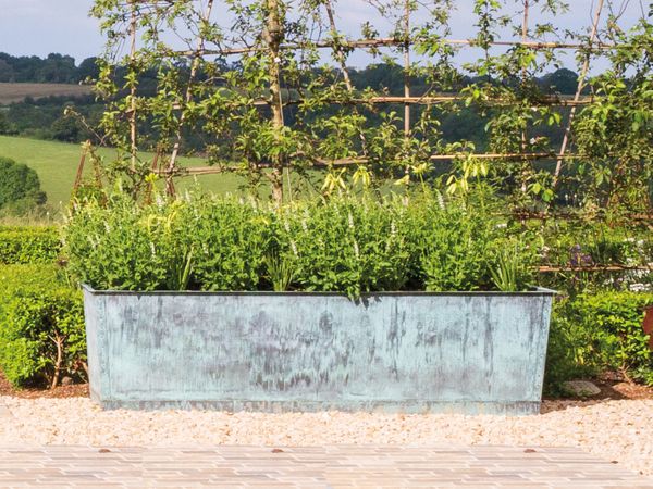 The Rectangular Copper Garden Planter - Large - Wide - Rolled Edge