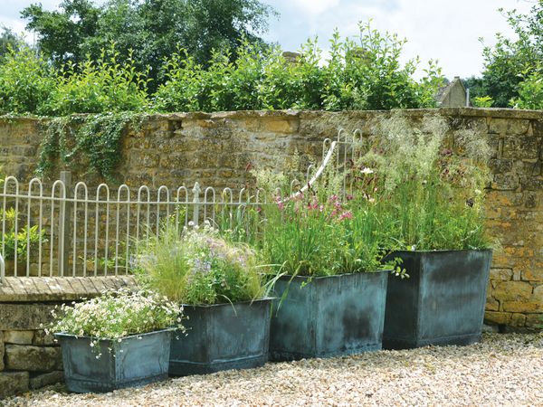 The Square Copper Garden Planter - Very Large - Rolled Edge