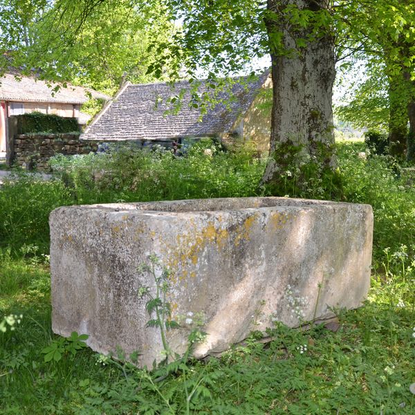 An 18th century large stone trough