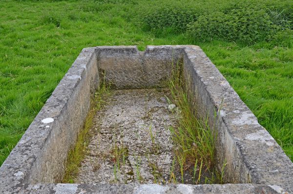 An 18th century large stone trough