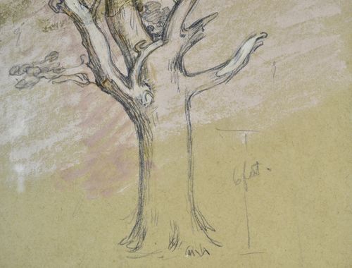 William Shackleton - Oak Tree, Parham - watercolour
