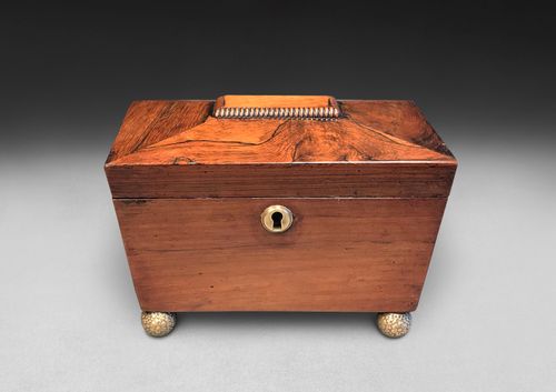 Regency Rosewood Tea Caddy of Sarcophagus Form