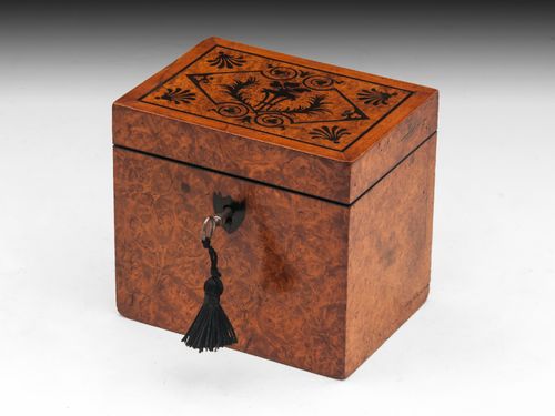 Amboyna Tea Caddy