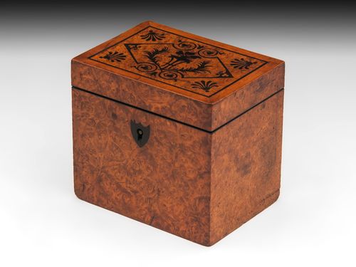 Amboyna Tea Caddy