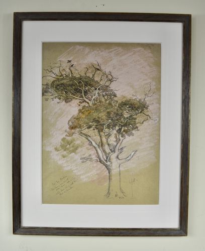 William Shackleton - Oak Tree, Parham - watercolour