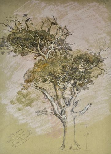 William Shackleton - Oak Tree, Parham - watercolour