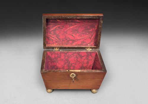 Regency Rosewood Tea Caddy of Sarcophagus Form