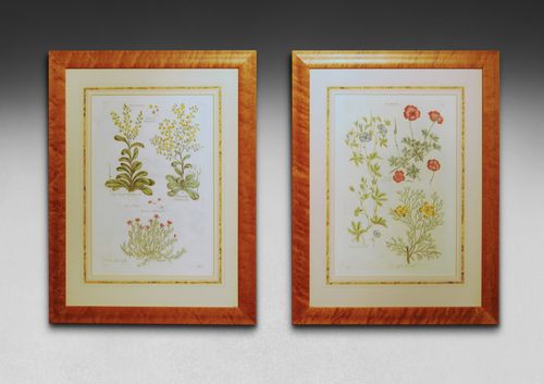 A pair of hand coloured copper plate engravings by John Hill