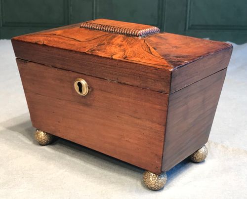 Regency Rosewood Tea Caddy of Sarcophagus Form