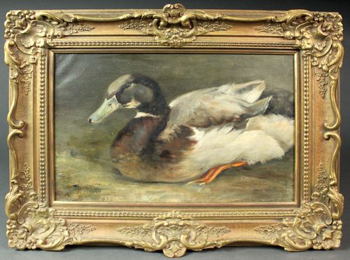 Duck picture by H K Ritchie
