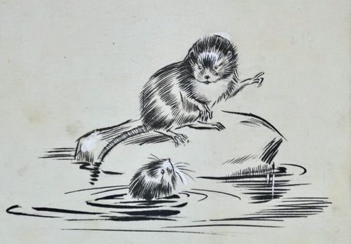 Eileen Soper - Water Voles - pencil