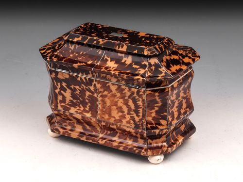 Antique Tortoiseshell Tea Caddy