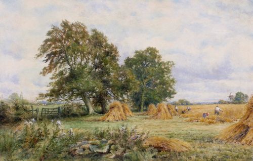 “A Sussex Cornfield” by Henry John Kinnaird 1861-1929