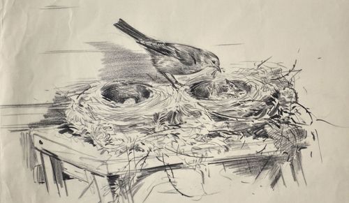 Eileen Soper - Feeding the Chicks - Pencil