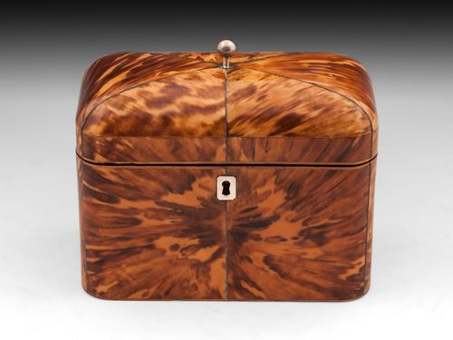 Antique Blonde Tortoiseshell Tea Caddy