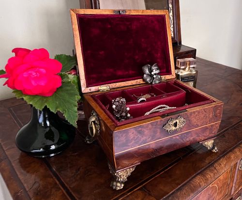 Antique Burr Yew Box Fitted for Jewellery