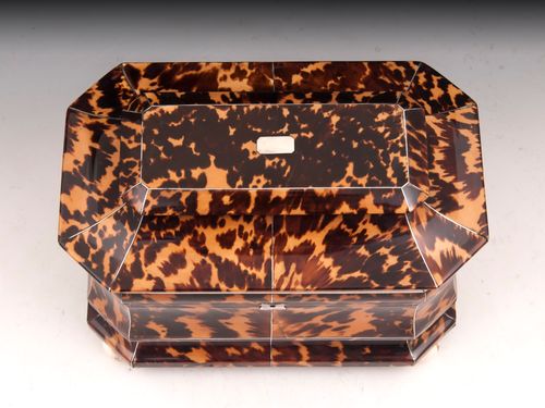 Antique Tortoiseshell Tea Caddy