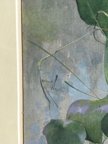 Arthur Wardle - Water Hyacinth - watercolour