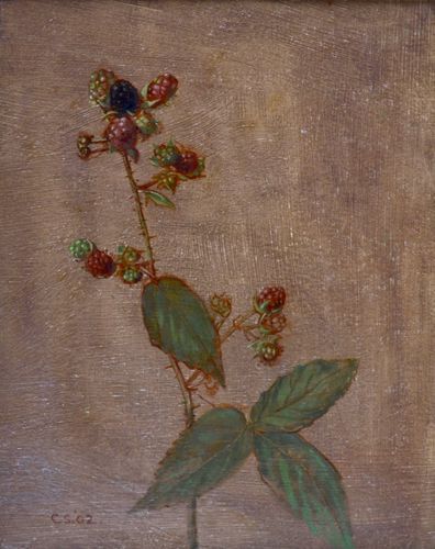 Carolyn Sergeant - Blackberries - oil on board
