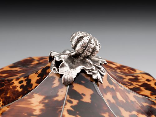 Pressed Tortoiseshell and silver Tea Caddy