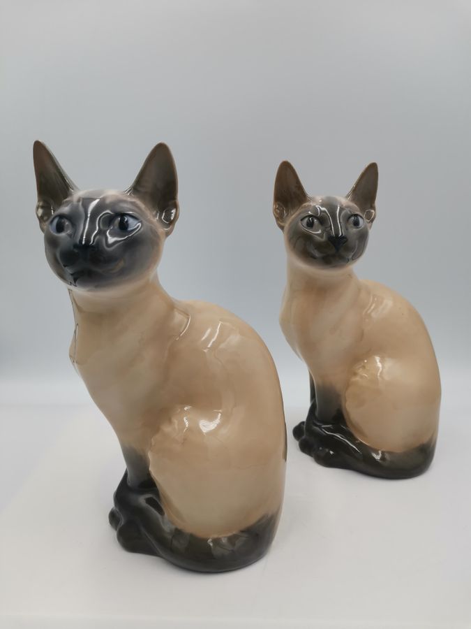 Royal Copenhagen Siamese cats