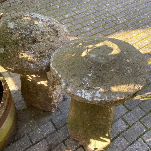 Two Staddle Stones