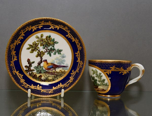 Sevres Cup and Saucer