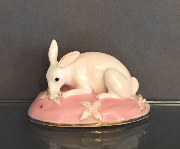 Chamberlain's Worcester Rabbit