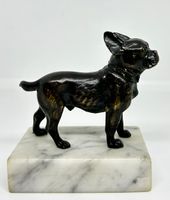 Bronze French Bulldog