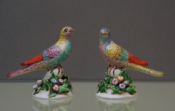 Pair of Bow birds