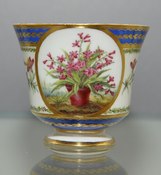 Sevres Cup