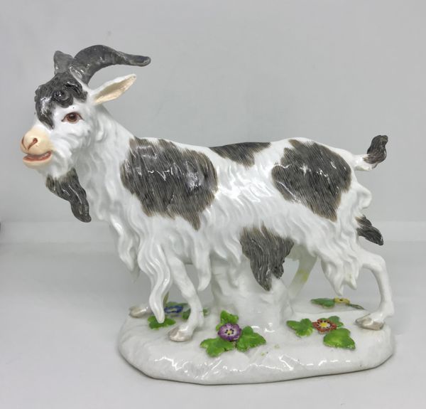 Meissen Model of a Billy Goat