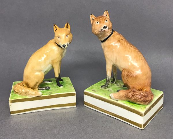 Two Derby Foxes